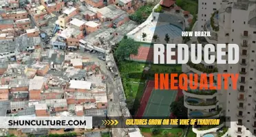 Brazil's Path to Reducing Inequality: Policies, Progress, and Lessons Learned