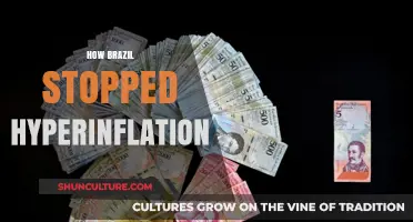 Brazil's Battle Against Hyperinflation: Strategies for Economic Stability