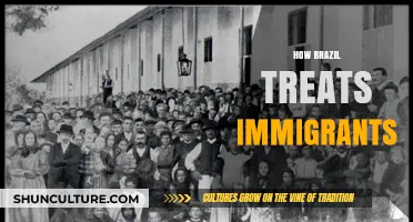 Brazil's Immigration Policies: A Welcoming Nation or Bordered Challenges?