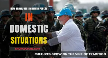 Brazil's Military Role: Domestic Deployment Strategies and Implications