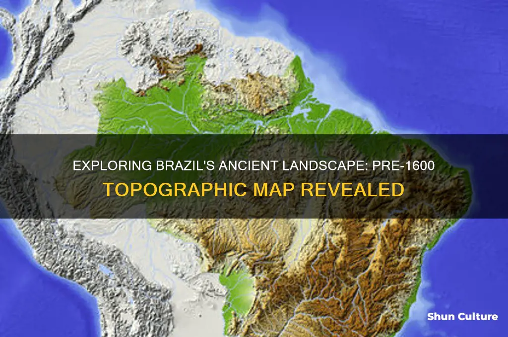 how brazil was before 1600 topographic map