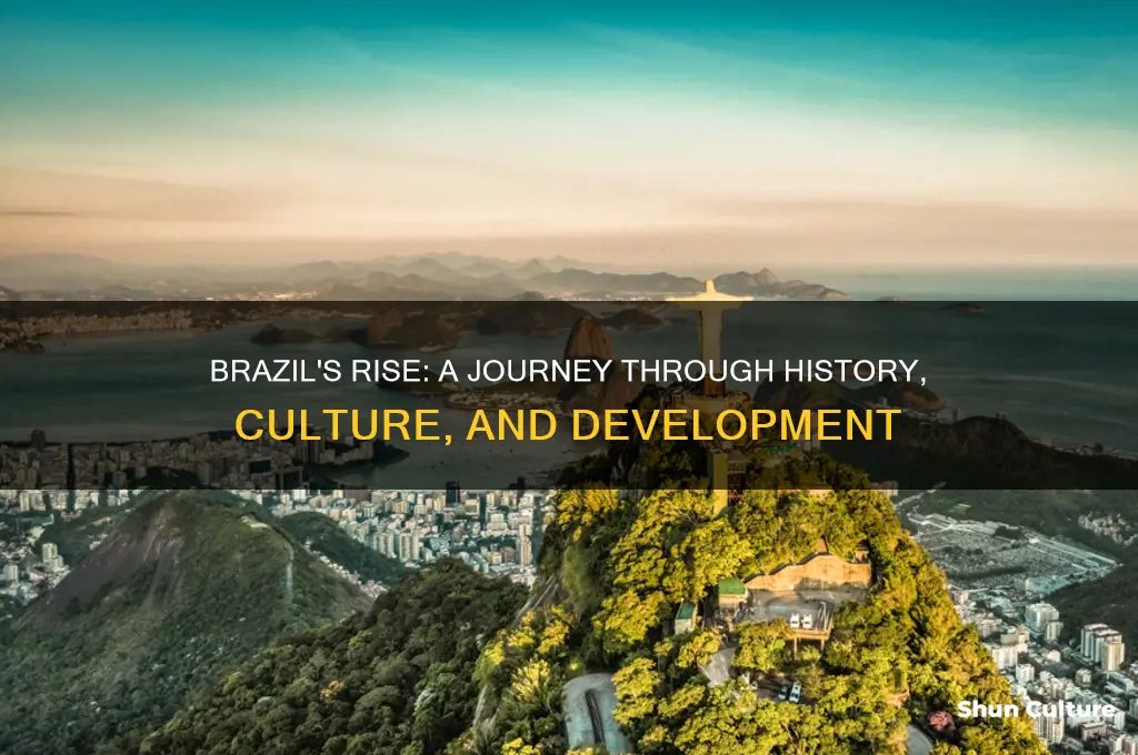 how brazil was built
