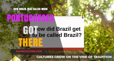 Brazil's Original Name: Unveiling the Land the Portuguese Discovered