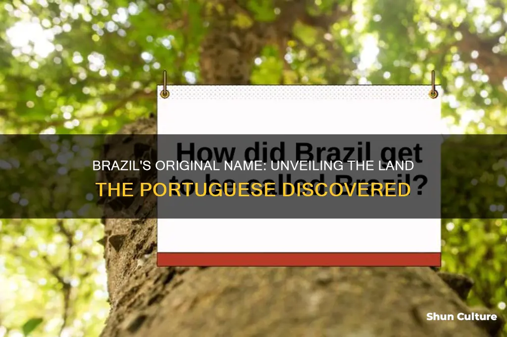 how brazil was called when portugueses got there