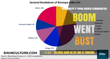 Brazil's Commodities Boom: Rise, Fall, and China's Role