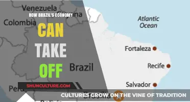 Unlocking Brazil's Economic Potential: Strategies for Sustainable Growth and Prosperity