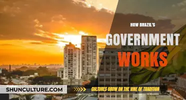 Understanding Brazil's Political System: A Guide to Its Government Structure
