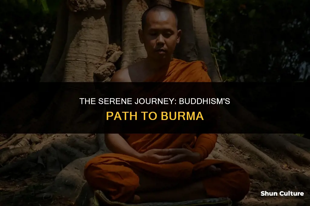 how buddhism got to burma