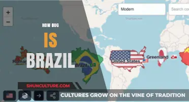 Exploring Brazil's Vastness: How Big is This South American Giant?