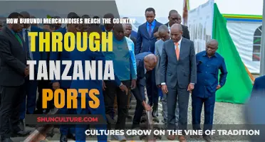 Navigating Tanzania's Ports: The Gateway for Burundi's Merchandise