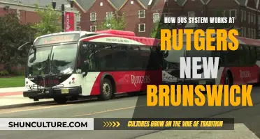 Rutgers New Brunswick: Understanding the Bus System