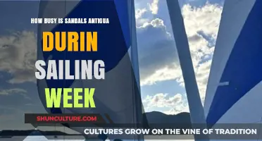 Sailing Week at Sandals Antigua: Crowds, Vibes, and What to Expect