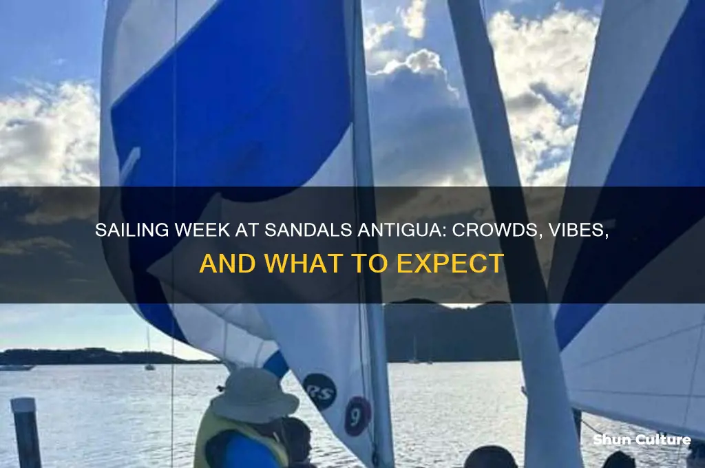 how busy is sandals antigua durin sailing week
