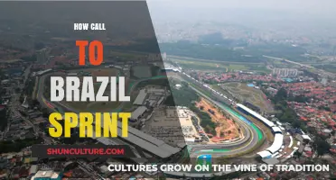 How to Make a Sprint Call to Brazil: A Quick Guide