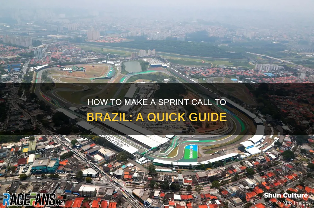 how call to brazil sprint