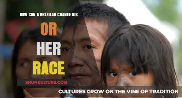 Can Brazilians Change Their Racial Identity? Exploring Legal and Social Perspectives