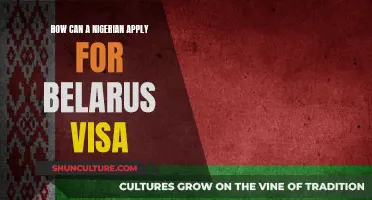 Nigerians' Guide to Applying for a Belarus Visa