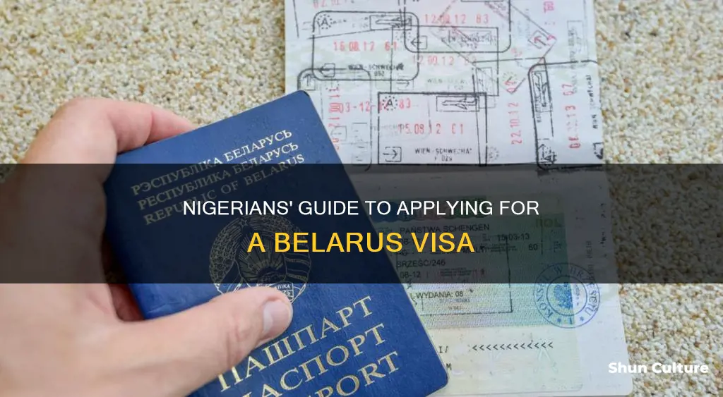 how can a nigerian apply for belarus visa