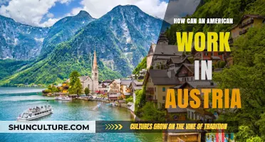 Unlocking Opportunities: A Guide to Working in Austria for Americans