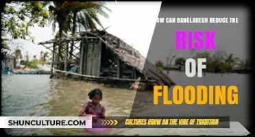 Mitigating Flood Risks: Strategies for Bangladesh's Resilience and Safety