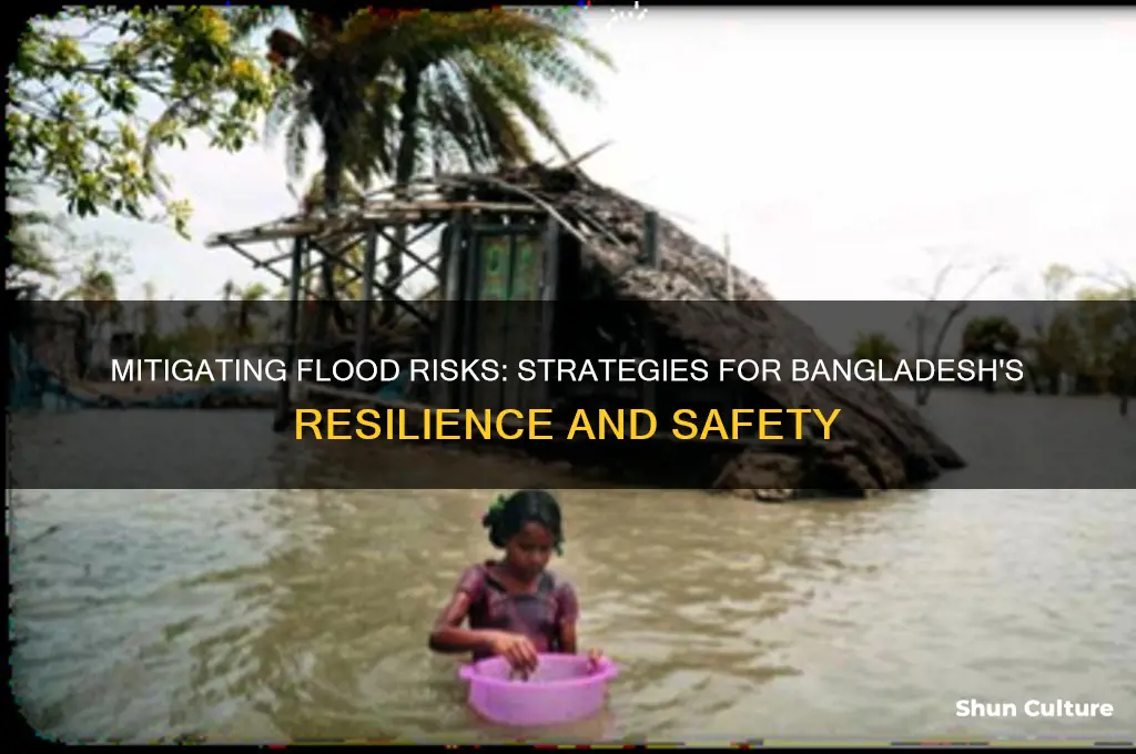 how can bangladesh reduce the risk of flooding