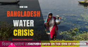 Bangladesh's Water Crisis: Causes, Impacts, and Sustainable Solutions