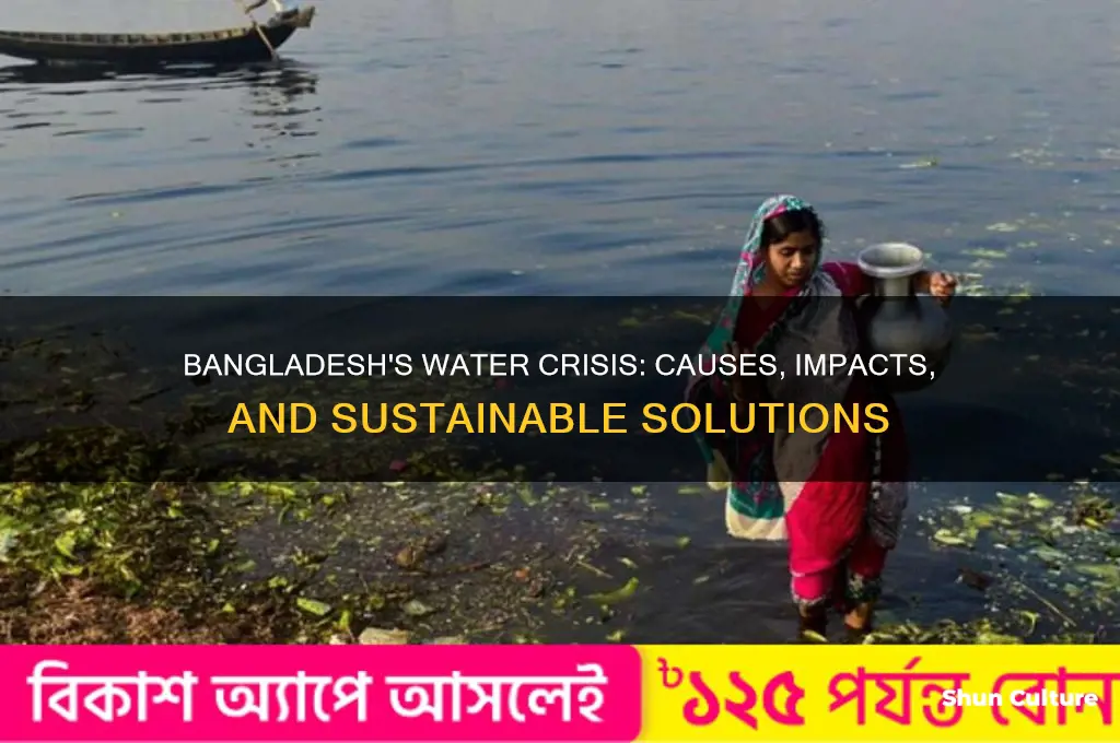 how can bangladesh water crisis