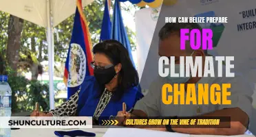 Belize's Climate Change Preparedness: Strategies for a Resilient Future