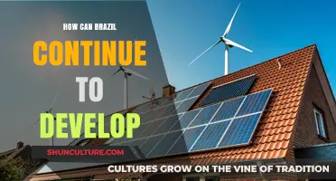 Brazil's Path Forward: Strategies for Sustainable Growth and Development