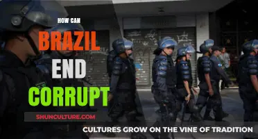 Ending Corruption in Brazil: Strategies for Transparency and Accountability