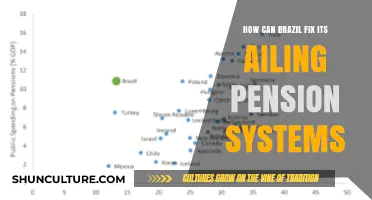 Reforming Brazil’s Pension Crisis: Strategies for a Sustainable Future