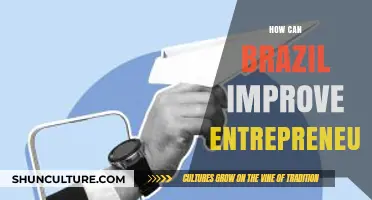 Boosting Brazil's Entrepreneurial Spirit: Strategies for Growth and Innovation