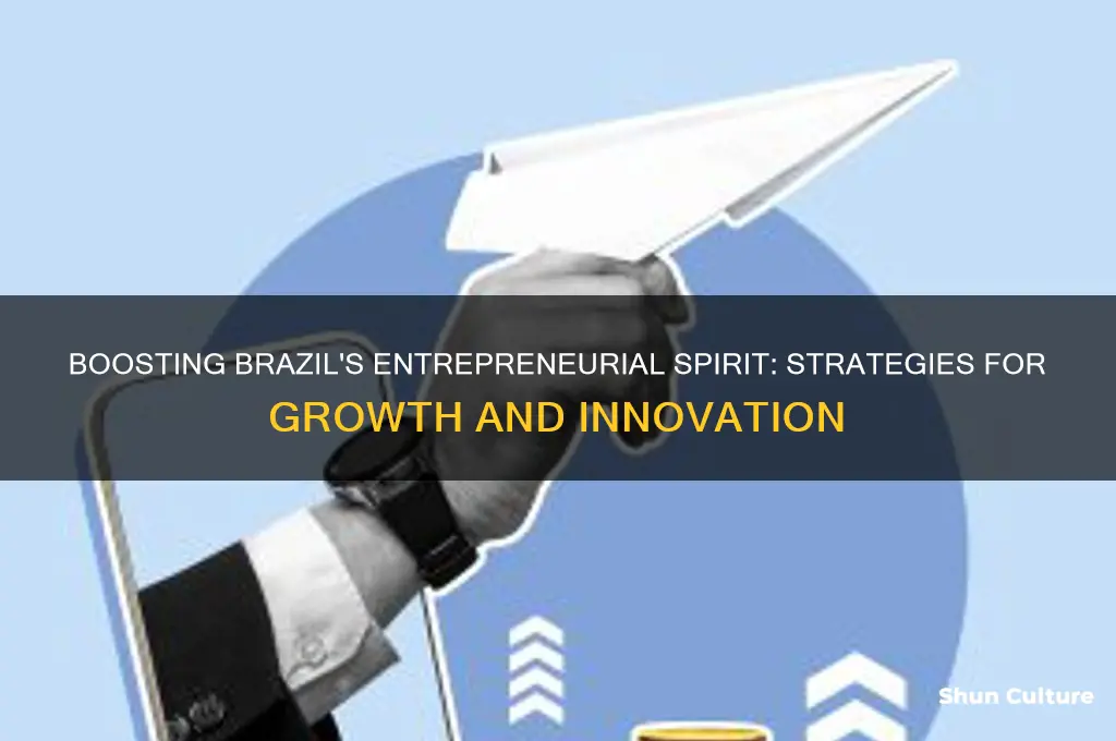 how can brazil improve entrepreneurship