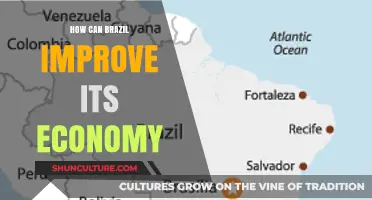 Boosting Brazil's Economy: Strategies for Growth, Innovation, and Global Competitiveness