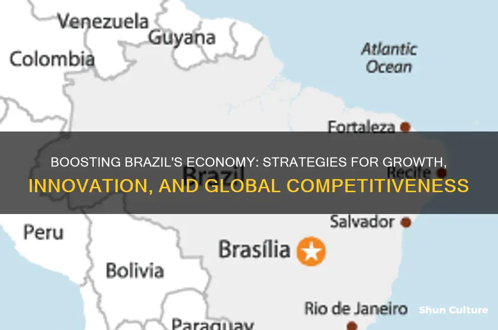 how can brazil improve its economy