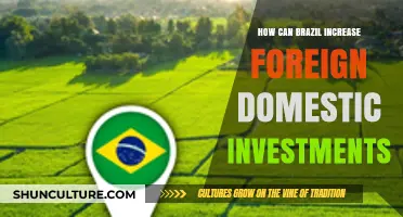 Boosting Brazil's Economy: Strategies to Attract More Foreign Investments