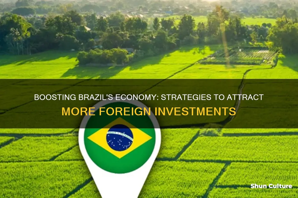 how can brazil increase foreign domestic investments