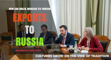 Boosting Brazil-Russia Trade: Strategies to Expand Exports and Strengthen Ties