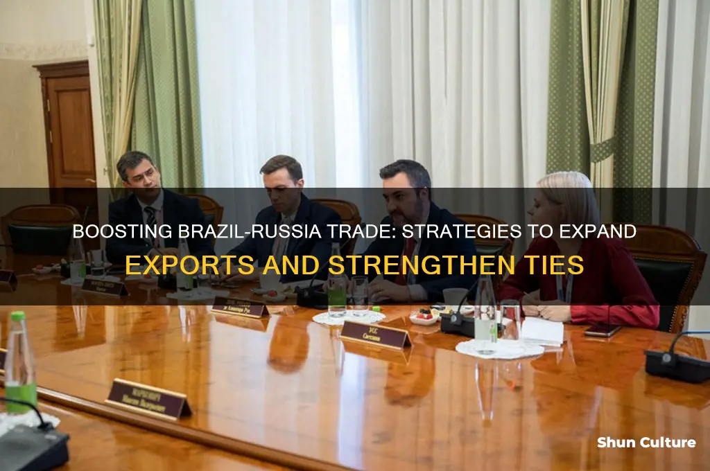 how can brazil increase its foreign exports to russia