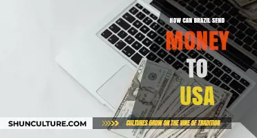 Efficient Ways for Brazil to Send Money to the USA