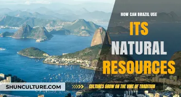 Harnessing Brazil's Natural Wealth: Strategies for Sustainable Development and Growth