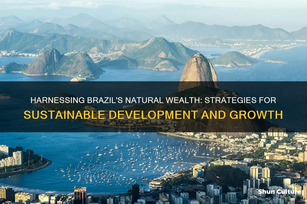 how can brazil use its natural resources