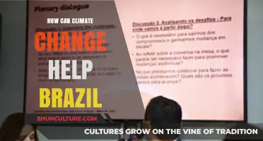 Climate Change Opportunities: Boosting Brazil's Economy and Environment