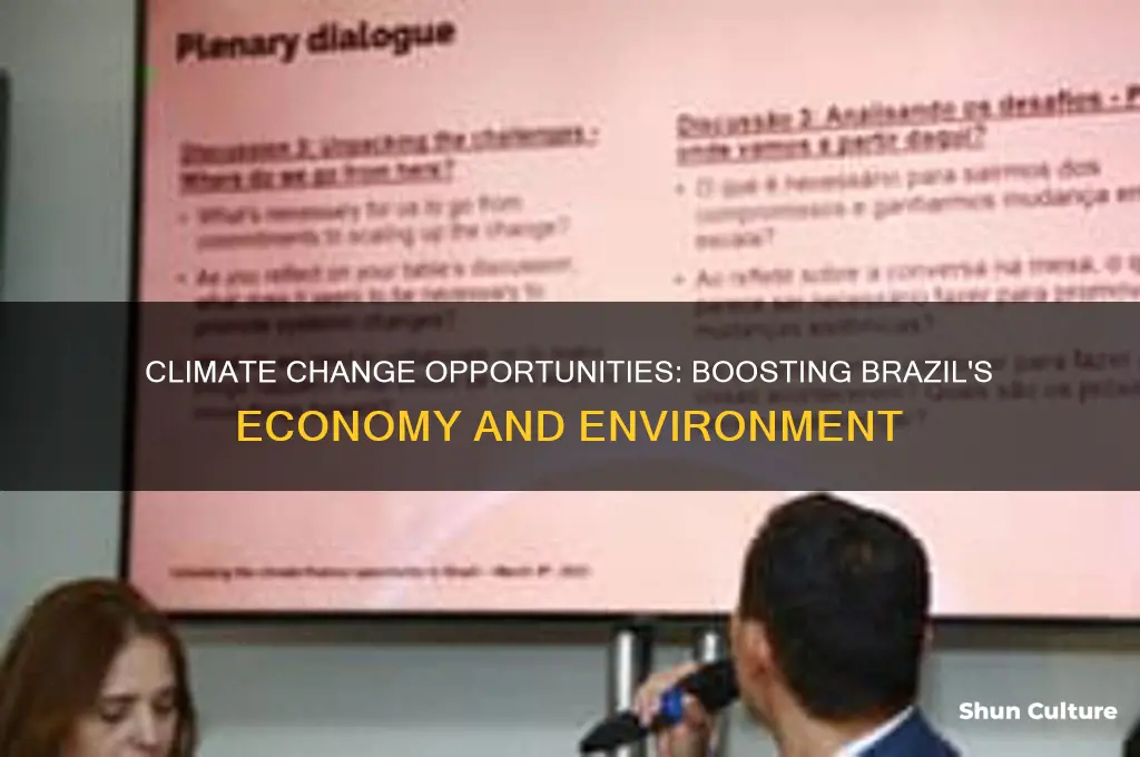 how can climate change help brazil