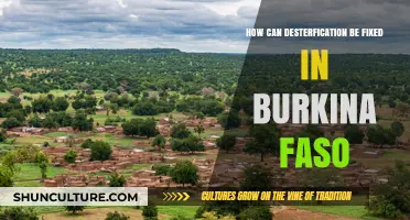 Reviving Burkina Faso's Lands: Strategies to Combat Desertification