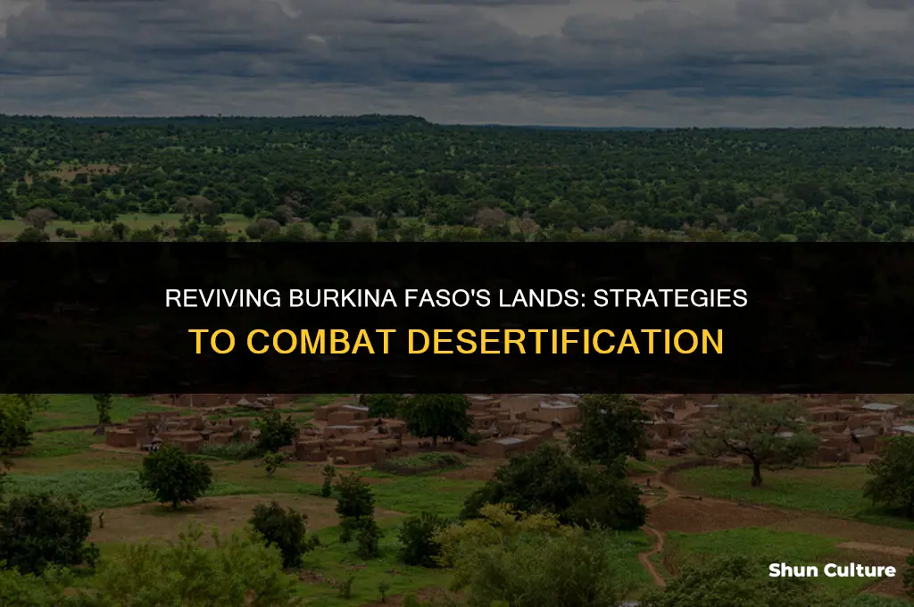 how can desterfication be fixed in burkina faso