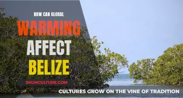 Belize's Future: Global Warming's Impact Explored