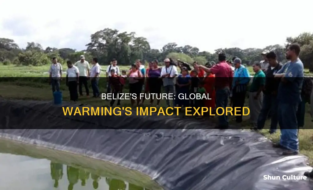 how can global warming affect belize