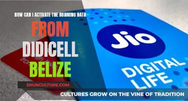 Activating Roaming Data with DiDiCell Belize