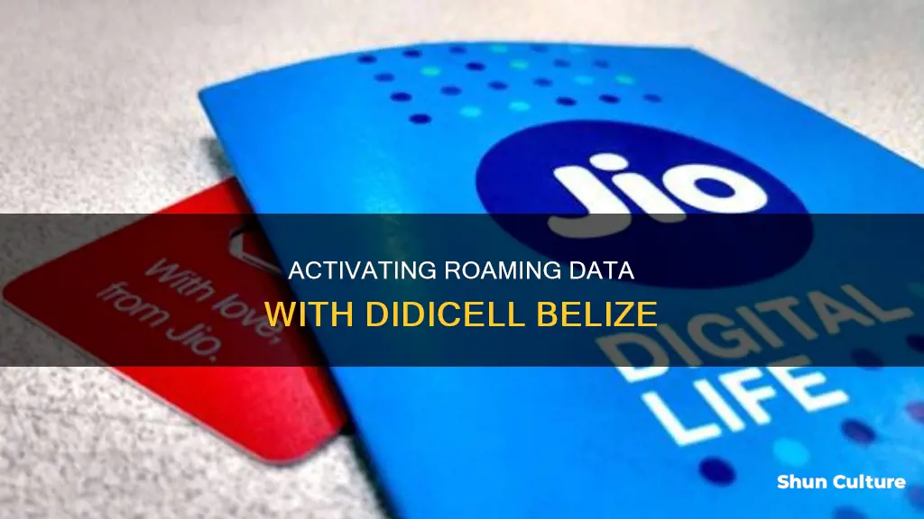 how can I activate the roaming data from didicell belize